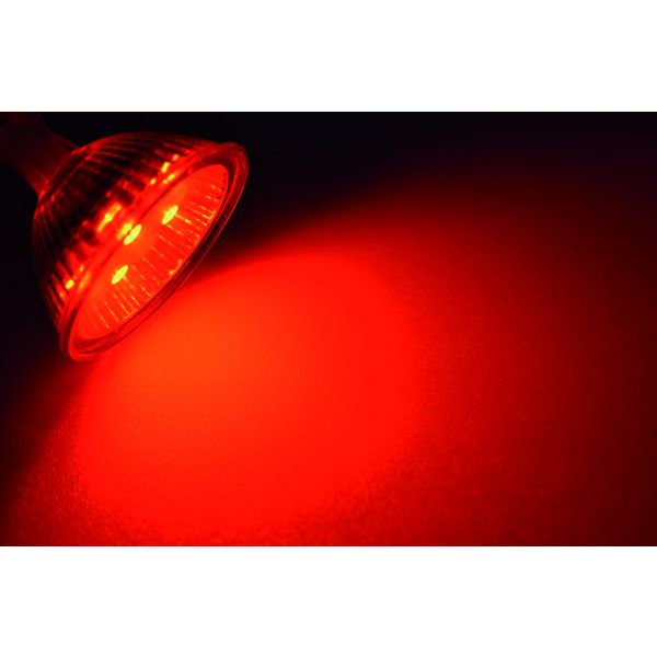 Talamex LED Leuchtmittel 9xSMD 1,4/0,5 W Sockel G4 warmweiß/rot