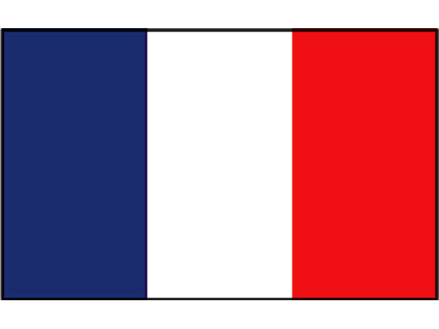 Flagge Frankreich 20x30cm