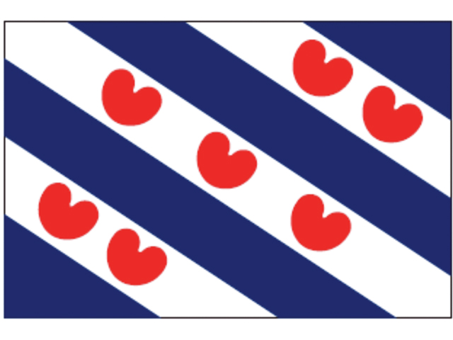 Flagge Friesland 20x30cm