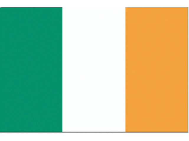 Flagge Irland 30x45cm