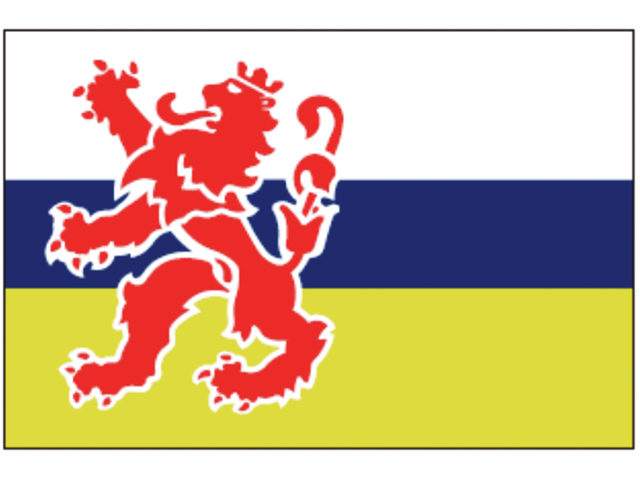 Flagge Limburg 20x30cm