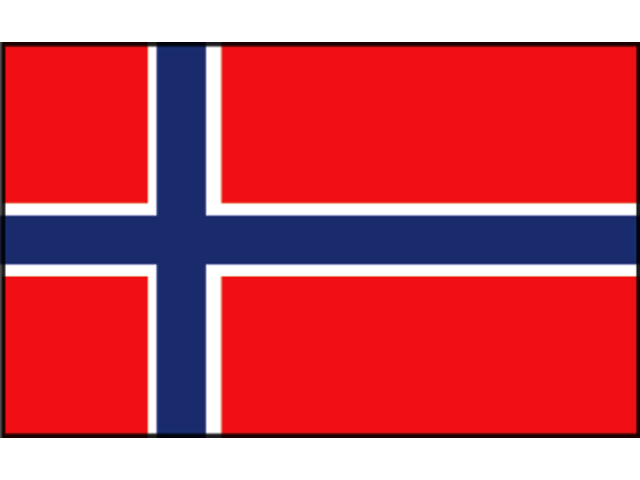 Flagge Norwegen 20x30cm