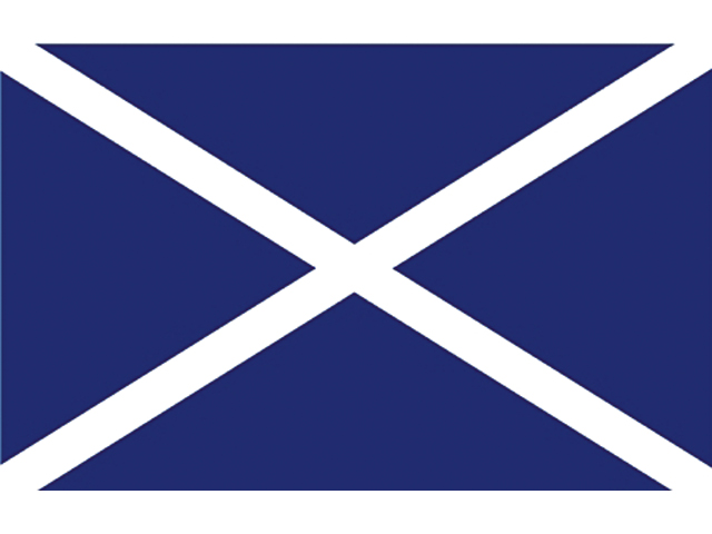 Flagge Schottland 20x30cm