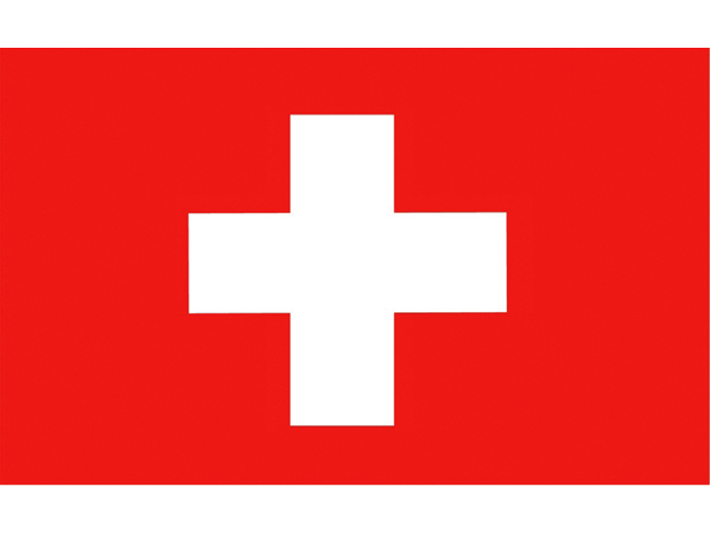 Flagge Schweiz 20x30cm