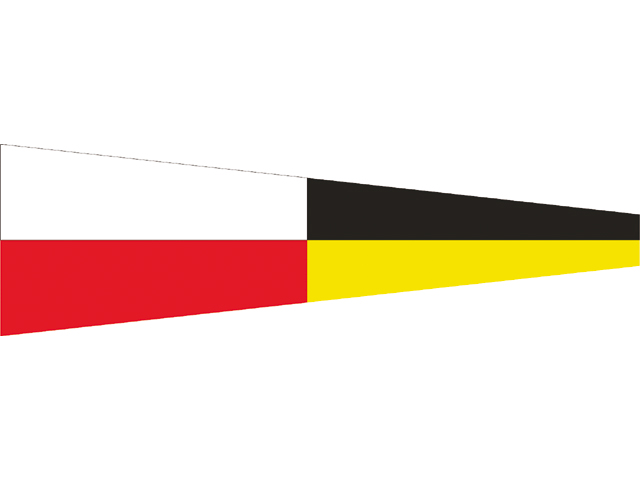 Flagge Signal 9 30x36cm