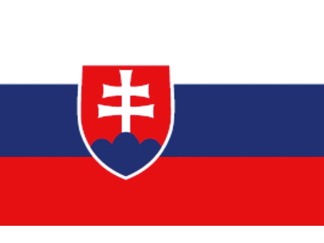 Flagge Slowakei 20x30cm