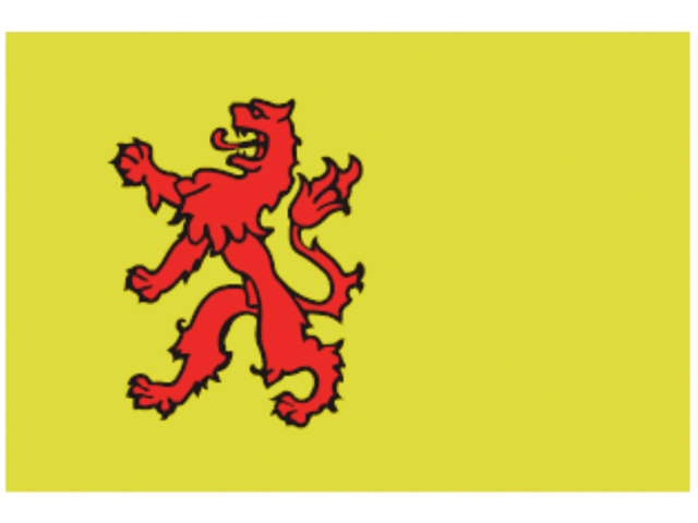 Flagge Süd-Holland 20x30cm