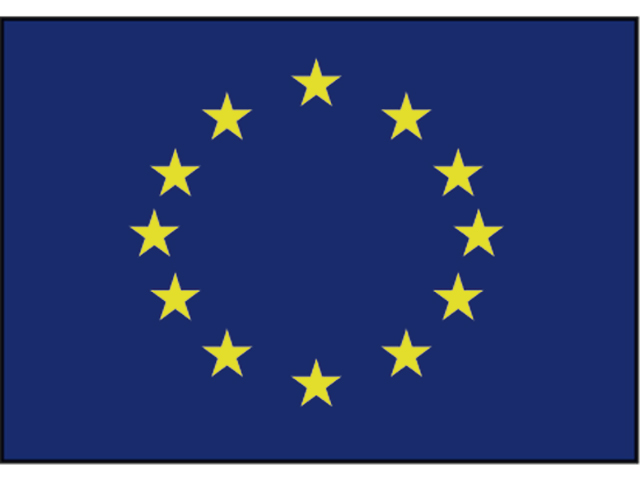 Flagge Europarat 30x45cm