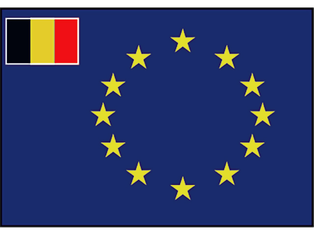Flagge Europarat/B 20x30cm