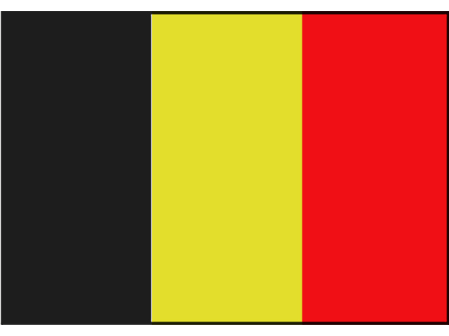 Flagge Belgien 20x30cm