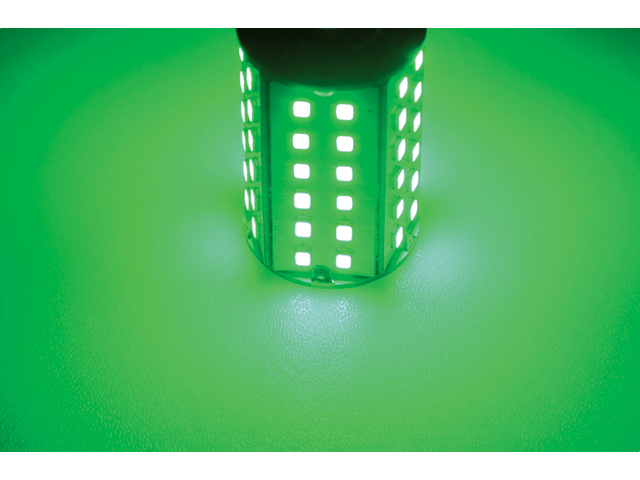 Talamex LED Leuchtmittel 60xSMD-BAY15d 10-30V 4,8 W Grün