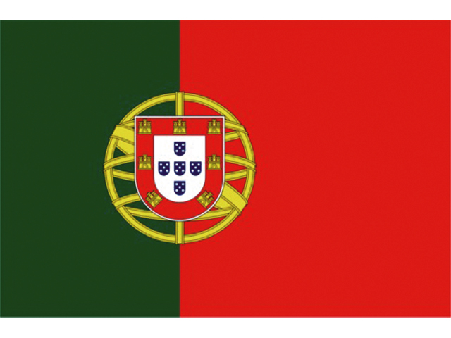 Flagge Portugal 20x30cm