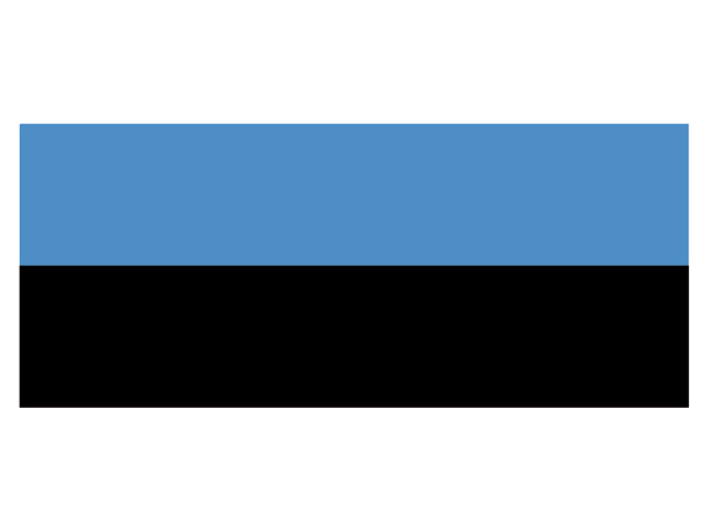Flagge Estland 20x30cm