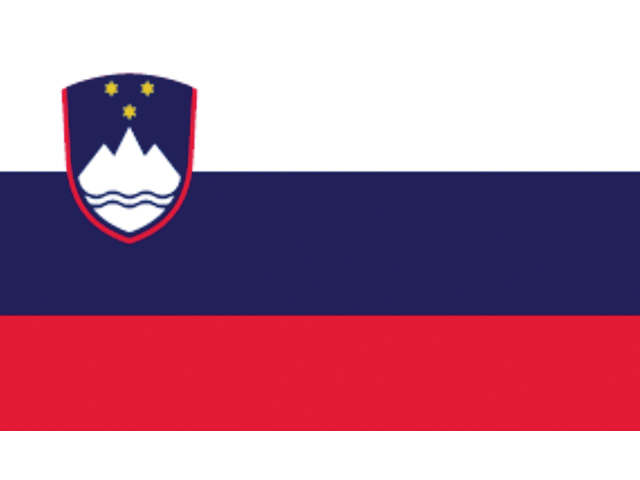 Flagge Slowenien 30x45cm