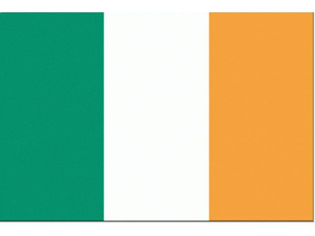 Flagge Irland 20x30cm