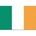 Flagge Irland 30x45cm