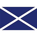 Flagge Schottland 20x30cm