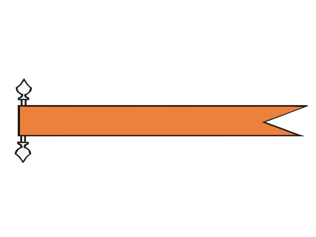 [L-27108180] Langwimpel Oranje 180cm